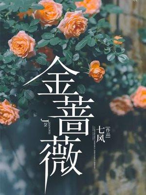 金蔷薇珍贵的尘土讲了什么