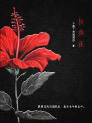 扶桑花适合在家中养吗