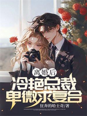 离婚后总裁对我死缠烂打免费阅读