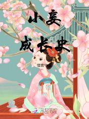 小妾的人生