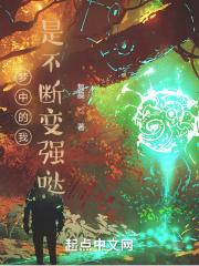 梦中的我不会再哭泣是哪首歌词