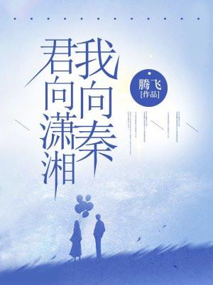 君向潇湘我向秦人生南北多歧路什么意思