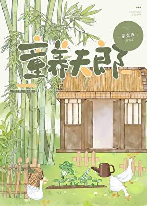 裴家夫郎 茶查查