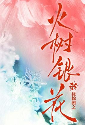 火树银花多少钱一个