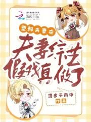 塑料夫妻情免费阅读
