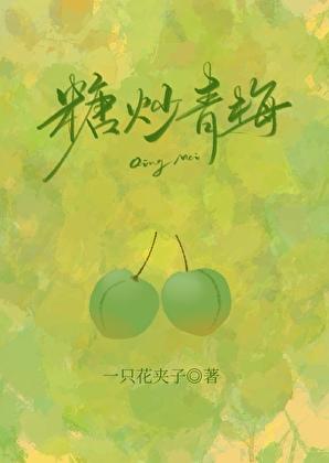糖炒青梅番外TXT资源