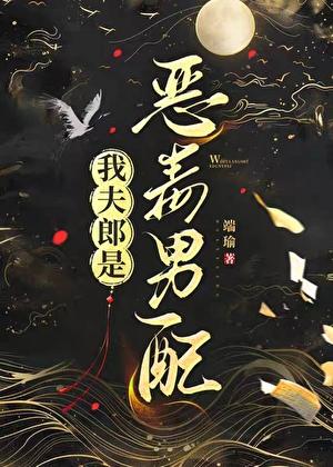 我夫郎是恶毒男配 晋江