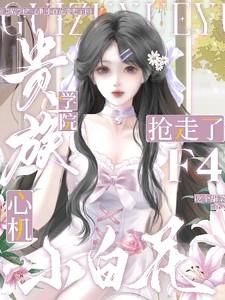 贵族学院：心机小白花抢走了F4
